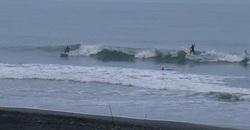 121017pm-eagle1 (5).jpg